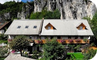 Bela MainP Image.jpg