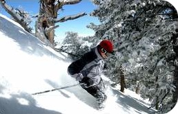 skiing_2.jpg