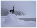 1_bohinj wntr.jpg