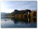 1_Bled_autm.jpg